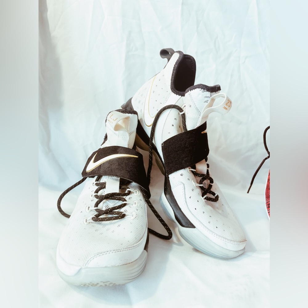 Air Max Zoom Lebron James 14